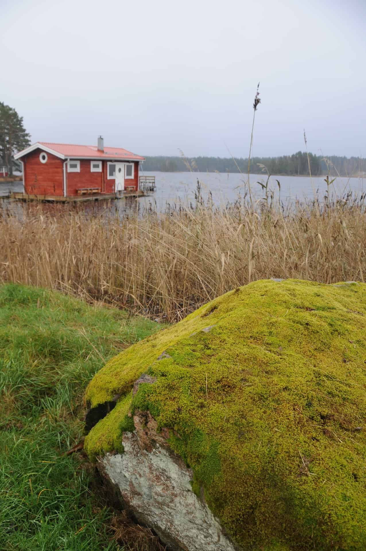 Aktuellt